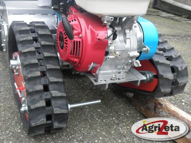 Z19 P25 su trinciasarmenti BTS 65